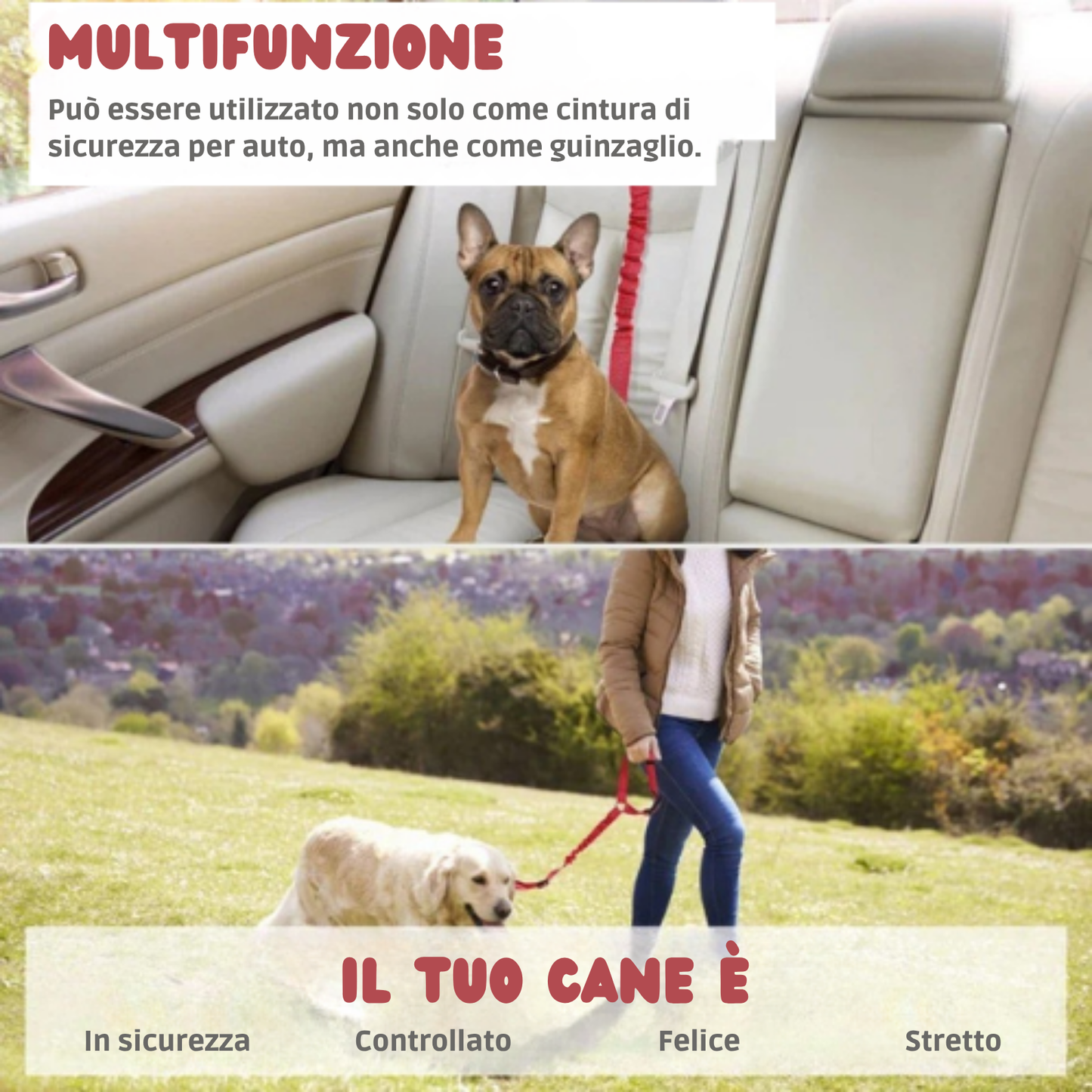 Cintura di sicurezza per auto