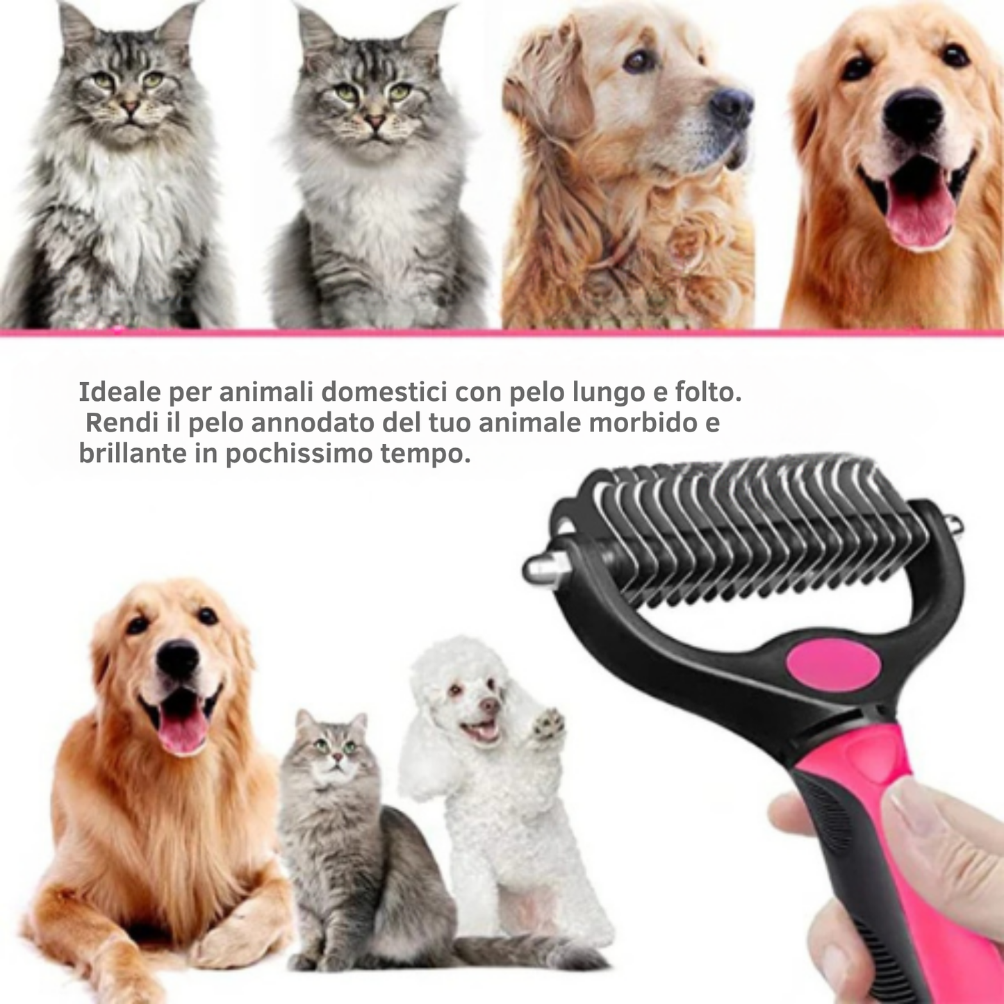 Spazzola per il taglio e la cura dei capelli